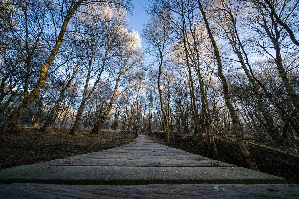 Voigtländer Hyper Wide Heliar 10mm 5.6 ASPH. für Sony E-Mount