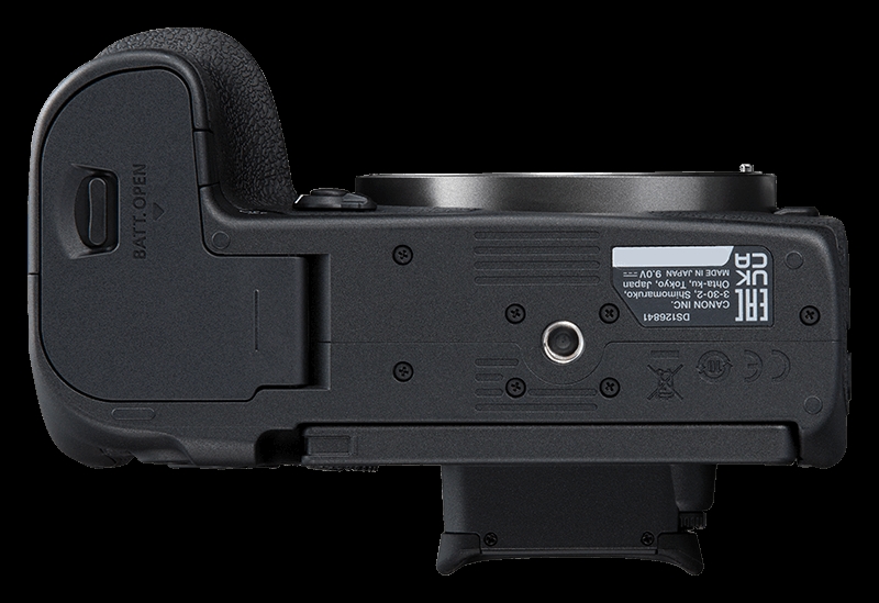Canon EOS R7 + RF 28-70mm 2.8 IS STM