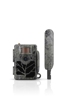 Wildtierkamera, Überwachungskamera, Tarnmuster, Camouflage, Sensor-Auslöser