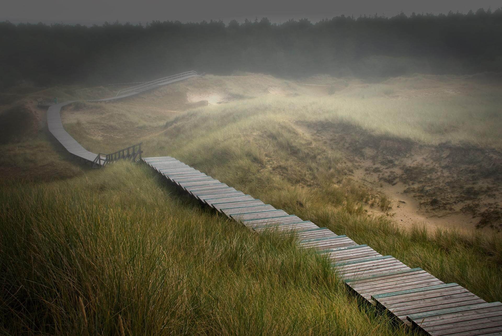 Fotowettbewerb Amrum