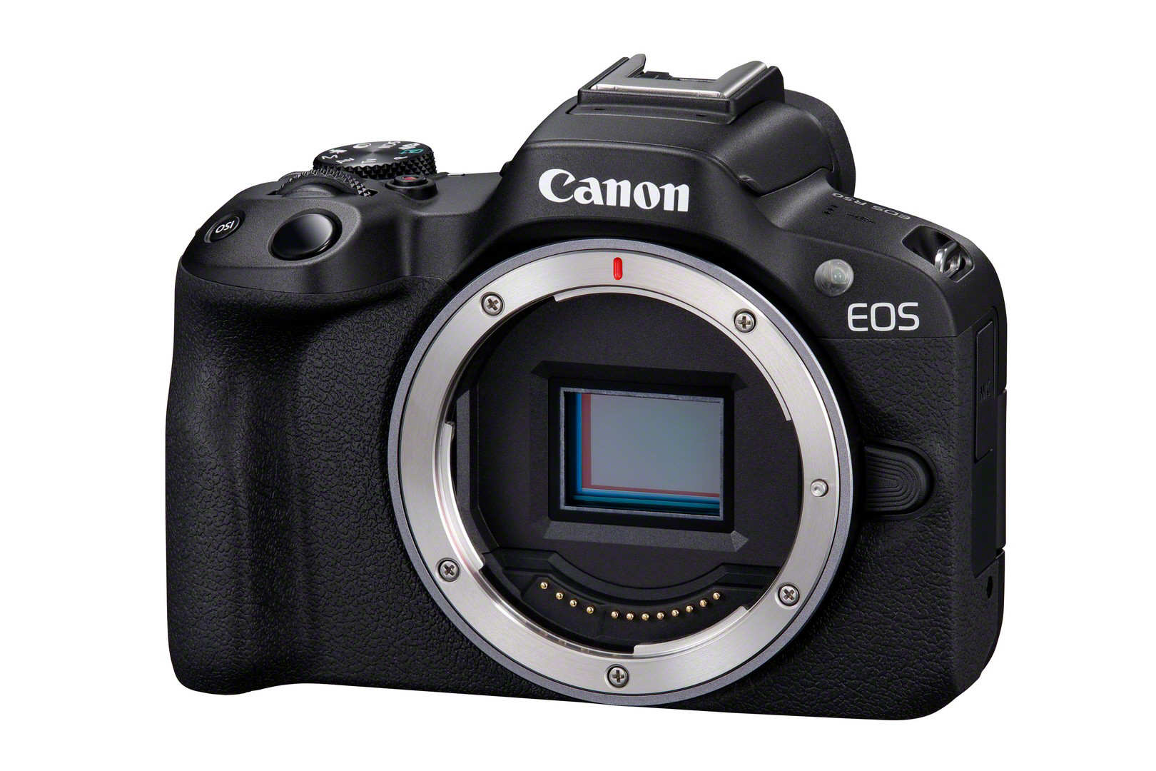 Canon EOS R50 Gehäuse
