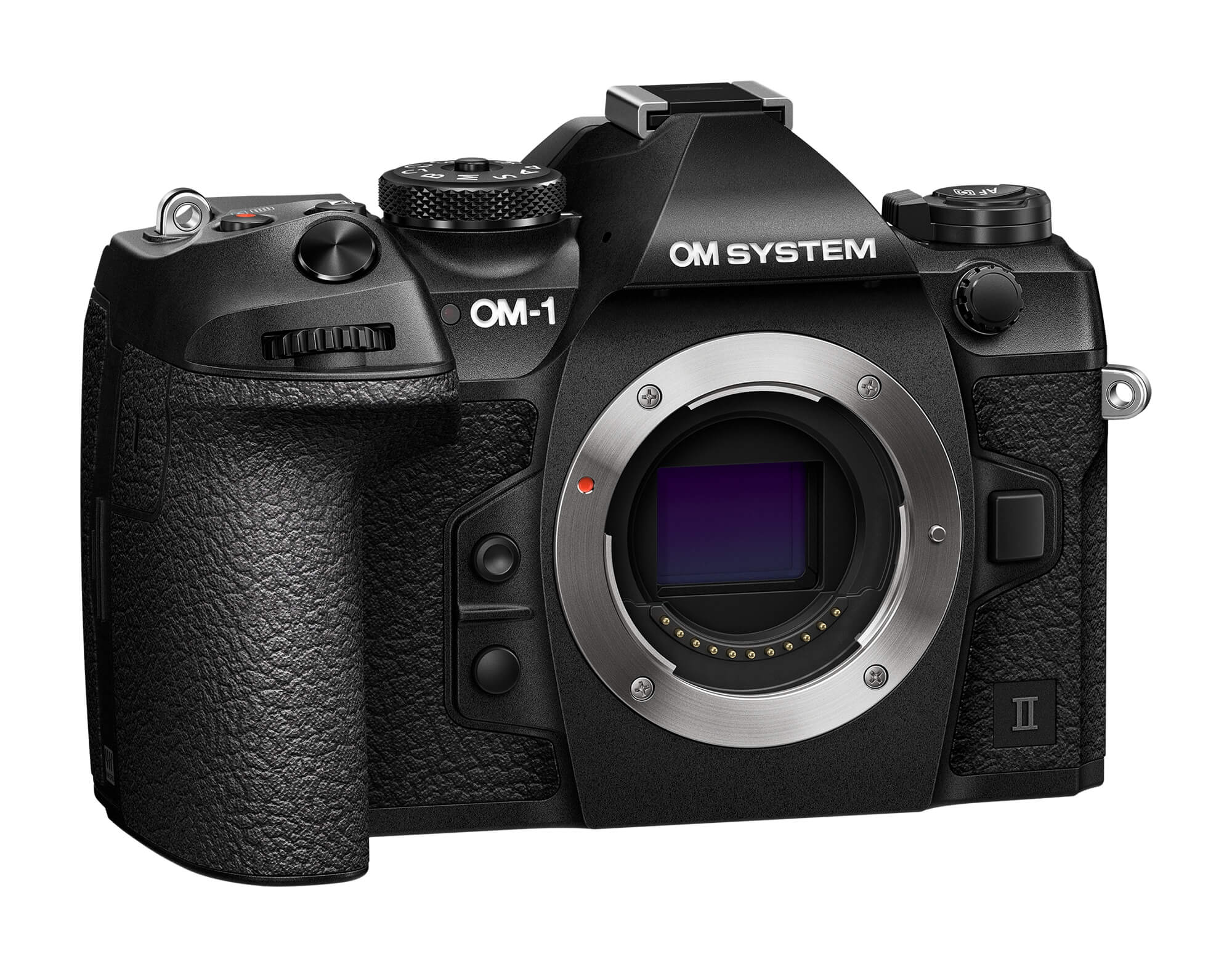 OM SYSTEM OM-1 Mark II + HLD-10 Batteriehandgriff
