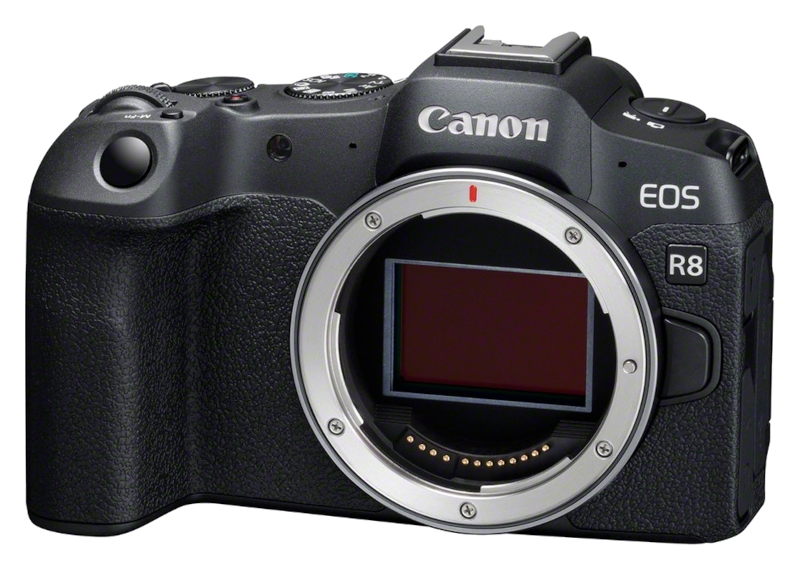 Canon EOS R8 + RF 50mm 1.8 STM