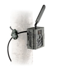 elektrischer Schalter, Schalterschalter, Wandschalter, Kabel, elektrisches Gerät
