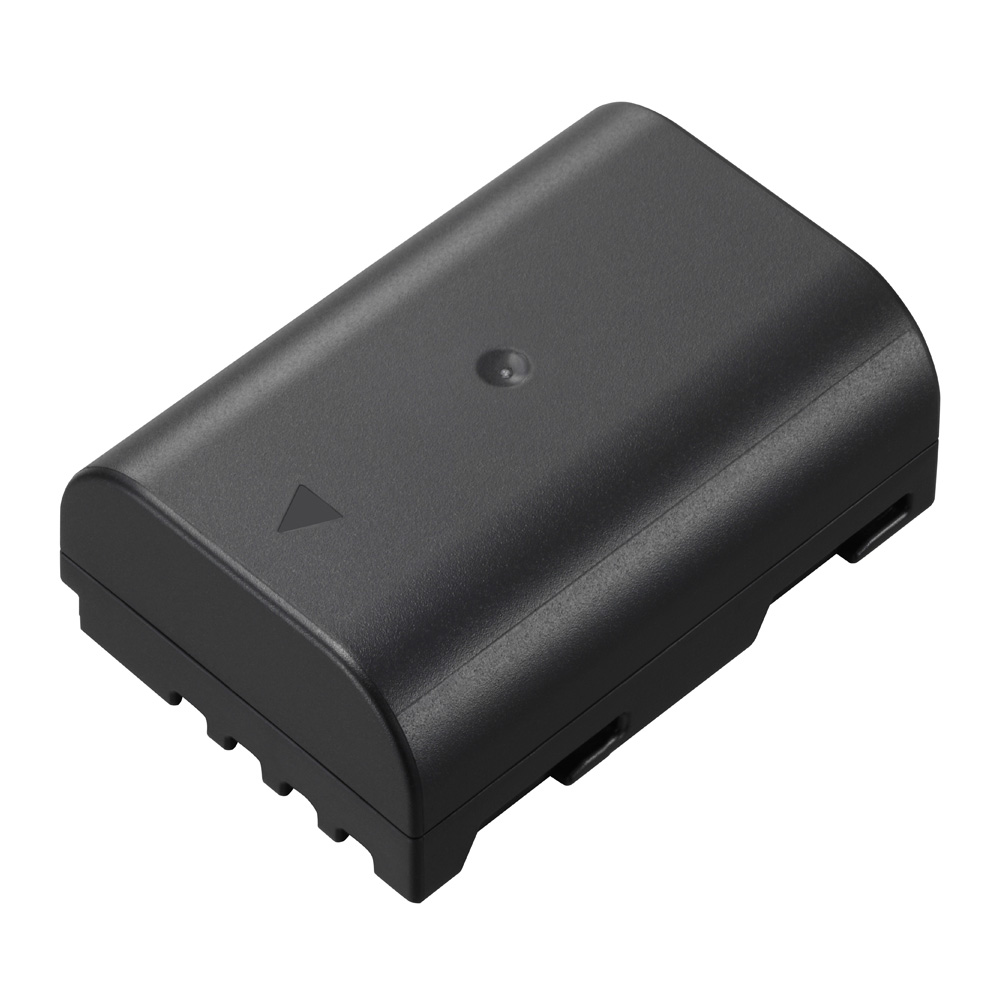 Panasonic DMW-BLF19E Akku Messeware