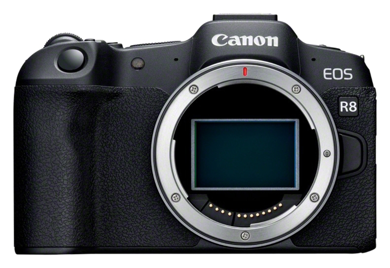 Canon EOS R8 + RF 50mm 1.8 STM