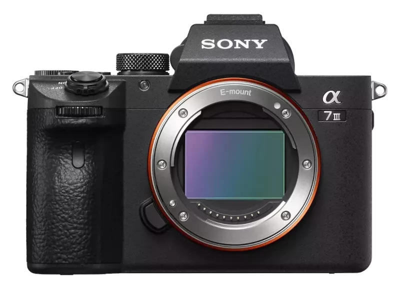 Sony Alpha 7 III + Sigma Art 24-70mm 2.8 DG DN II