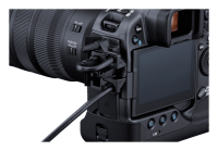 Canon EOS R3 + RF 28-70mm 2.8 IS STM