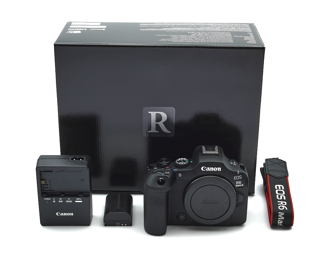 Kamera, DSLR, Canon, EOS R6, Kit
