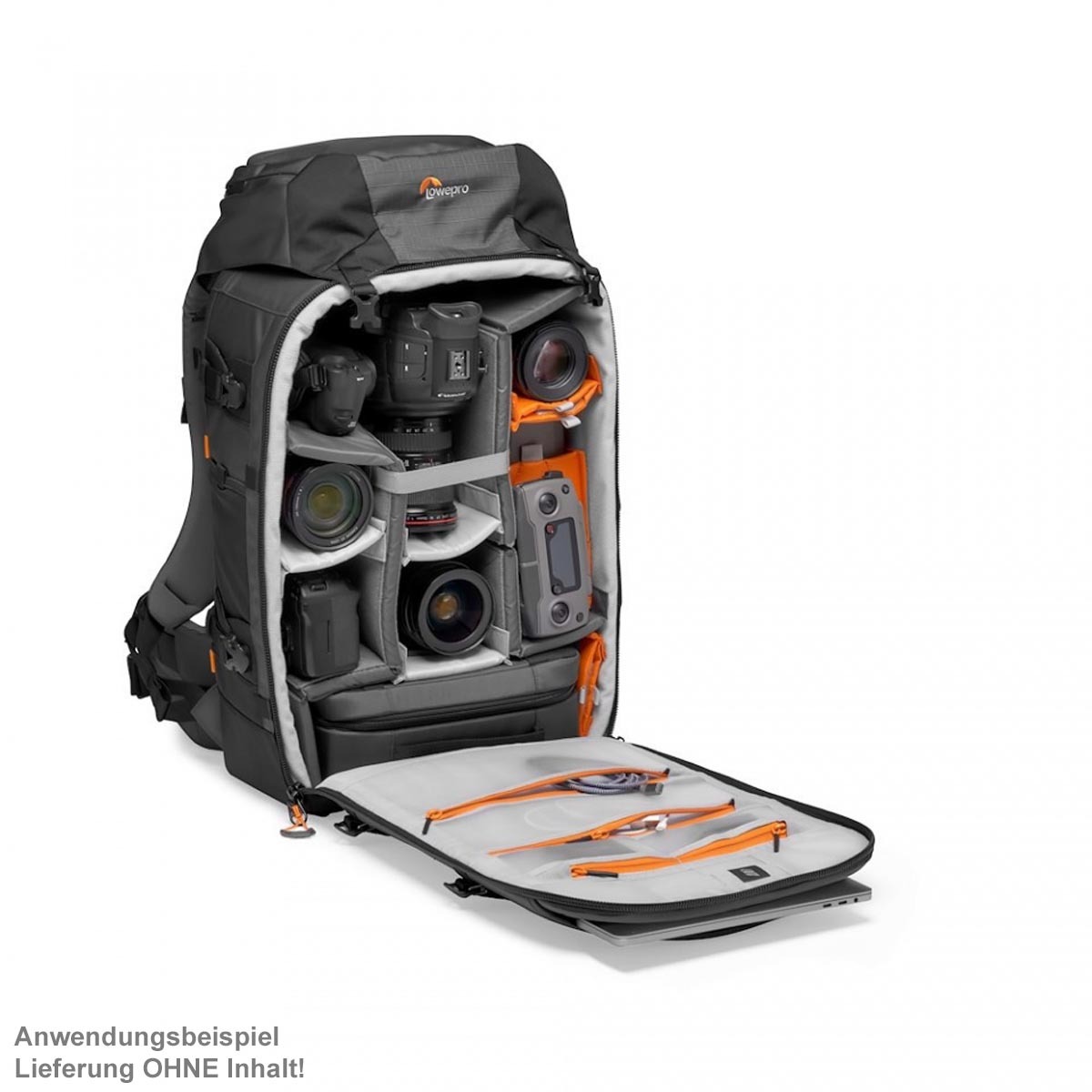 Lowepro ProTrekker BP 550 AW II grey Fotorucksack