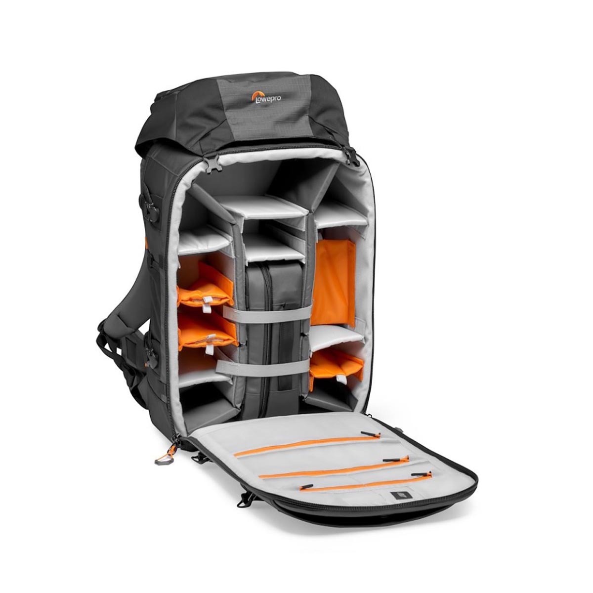 Lowepro ProTrekker BP 550 AW II grey Fotorucksack