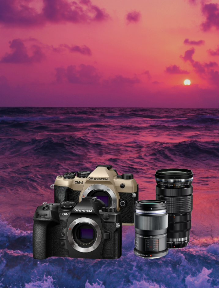 kamera, dslr, zwei body, objektive,  bundle
