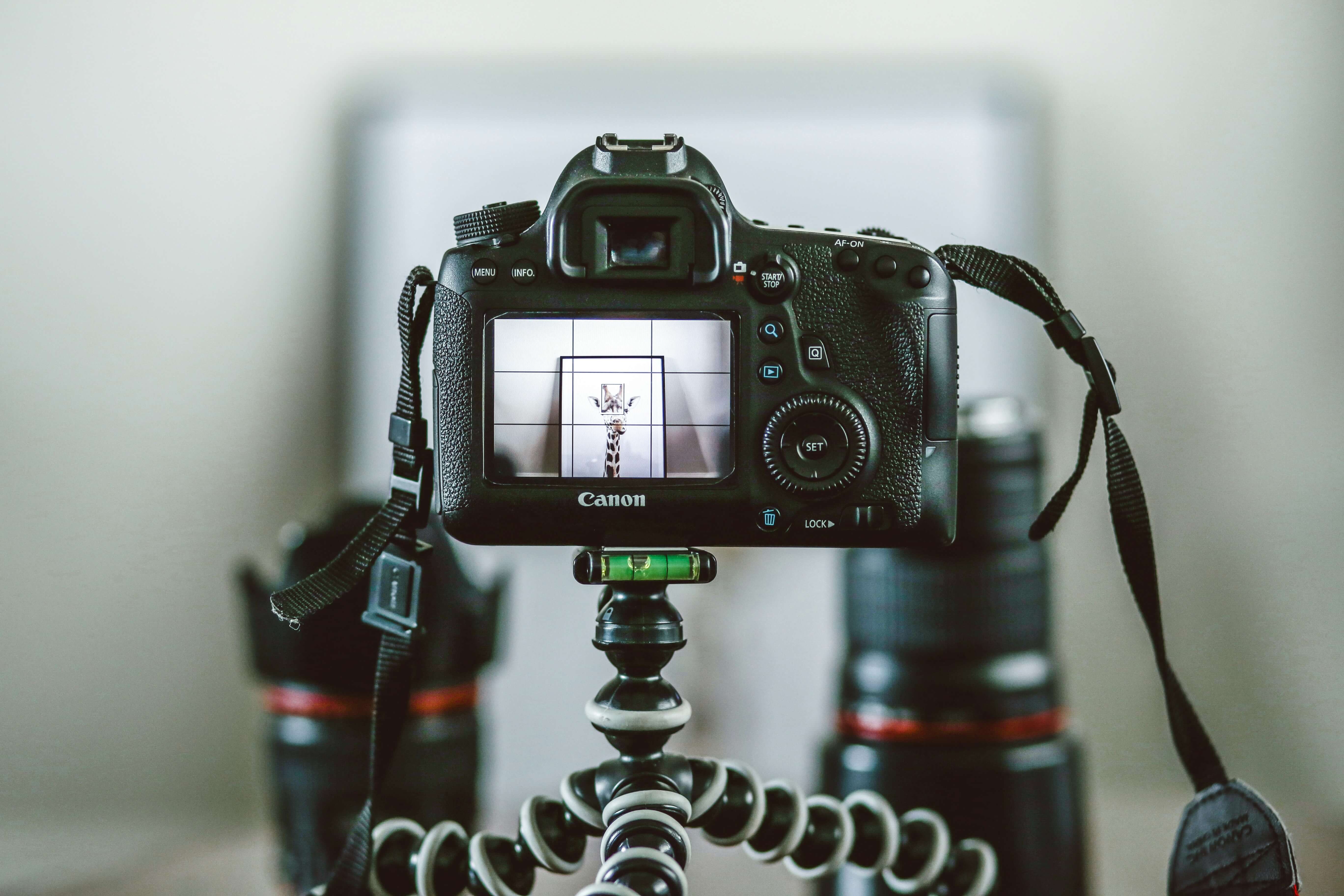 KI in der Fotografie: Tipps, Anwendungen und Tools