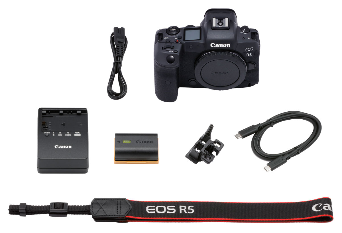 Canon EOS R5 + RF 50mm 1.8 STM