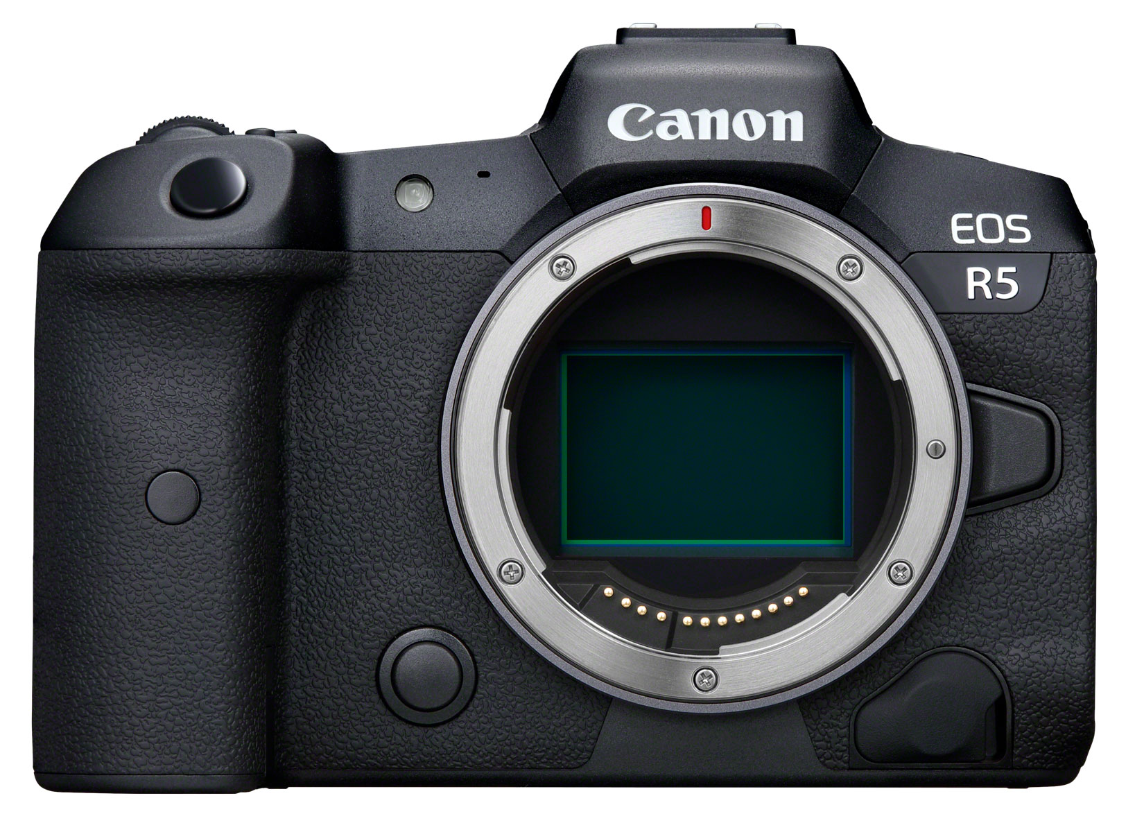 Canon EOS R5 + RF 50mm 1.8 STM