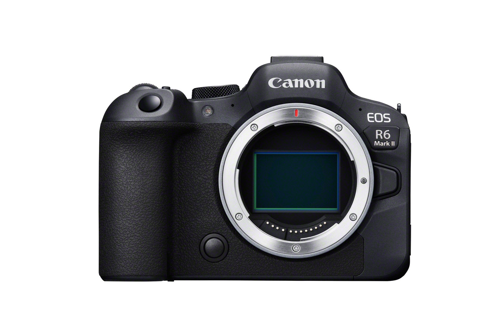 Canon EOS R6 Mark II + RF 50mm 1.8 STM