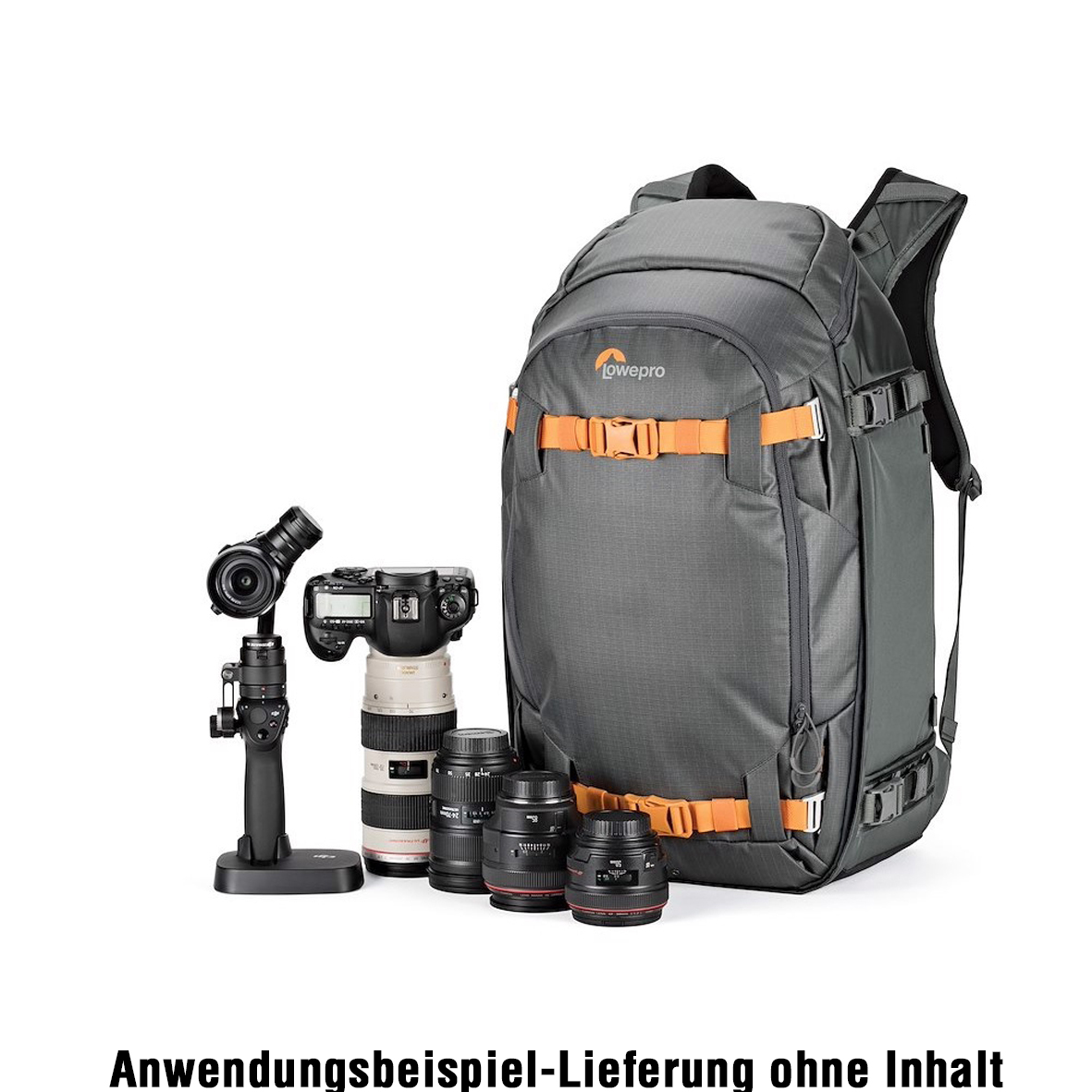 Lowepro Whistler 450 AW II grau Rucksack