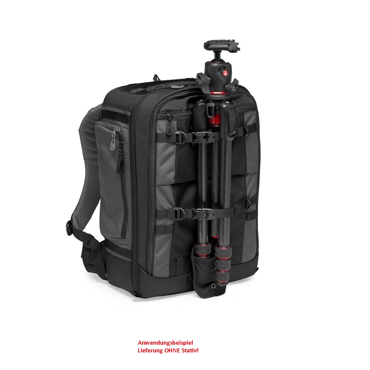 Lowepro ProTrekker BP 450 AW II grau Fotorucksack