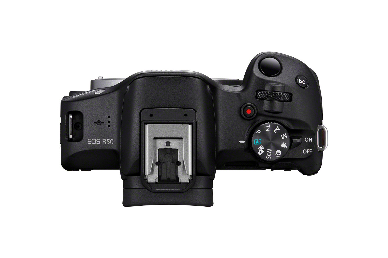 Canon EOS R50 + RF-S 18-45mm 4.5-6.3 IS STM + RF-S 55-210mm 5.0-7.1 IS STM