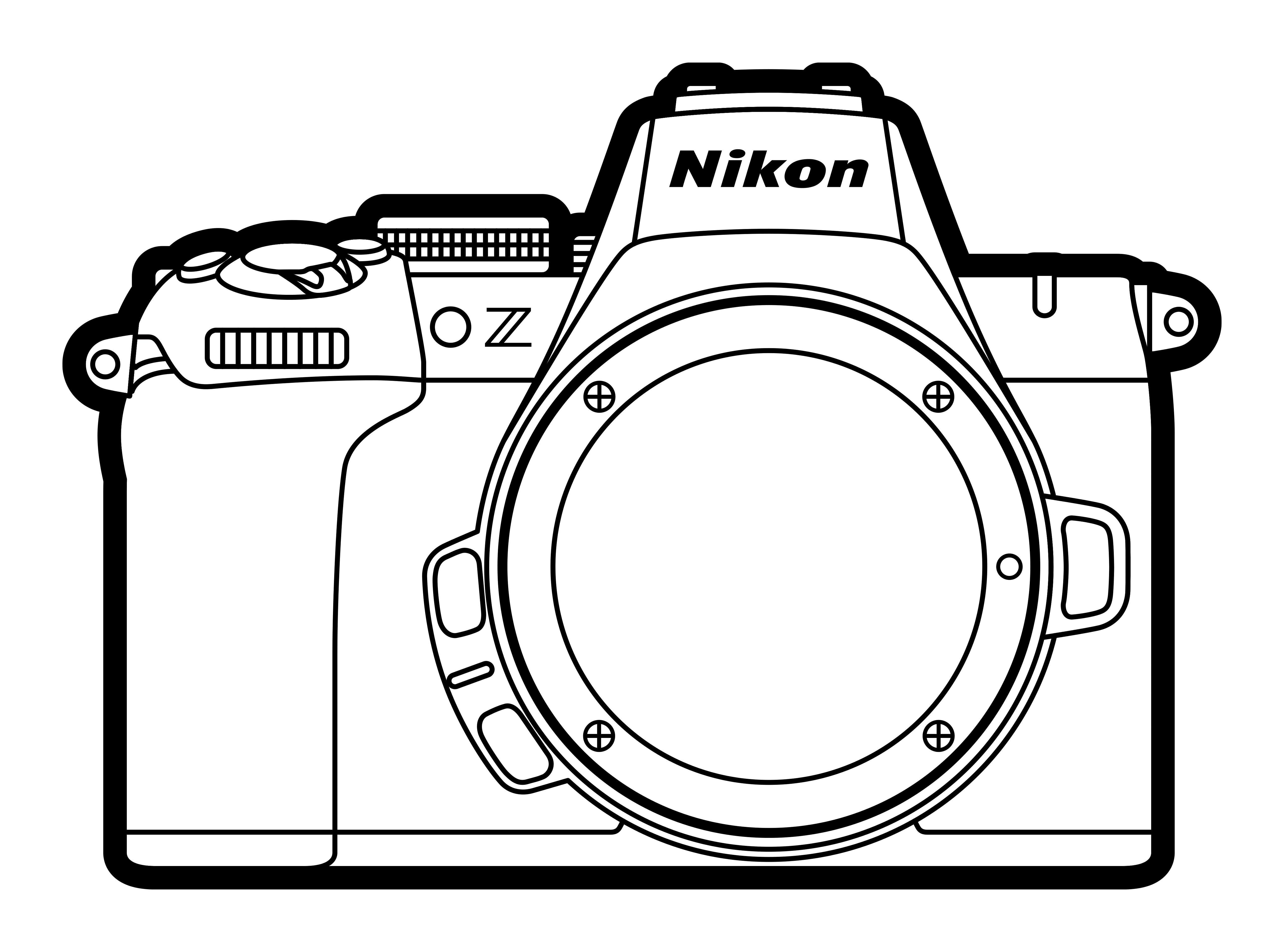 Nikon Z50 II + Z DX 16-50mm 3.5-6.3 VR + DX Z 50-250mm 4.5-6.3 VR