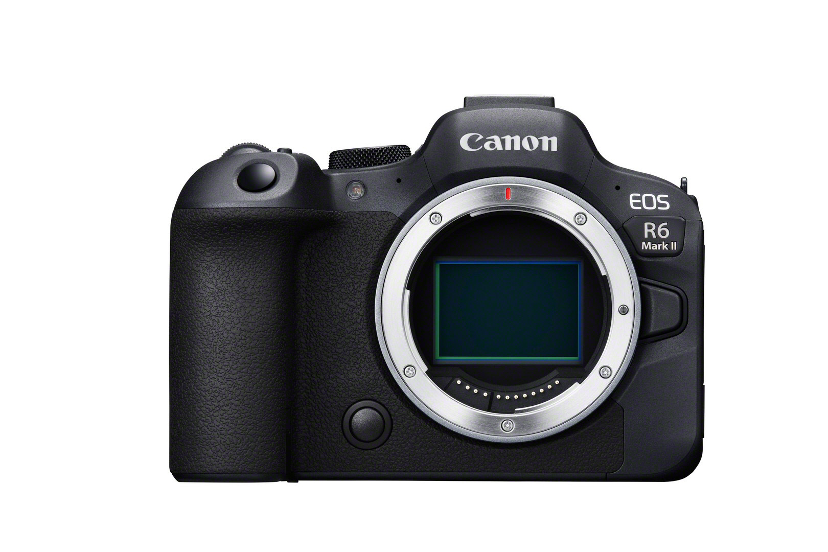 Canon EOS R6 Mark II + RF 24-70mm 2.8 L IS USM