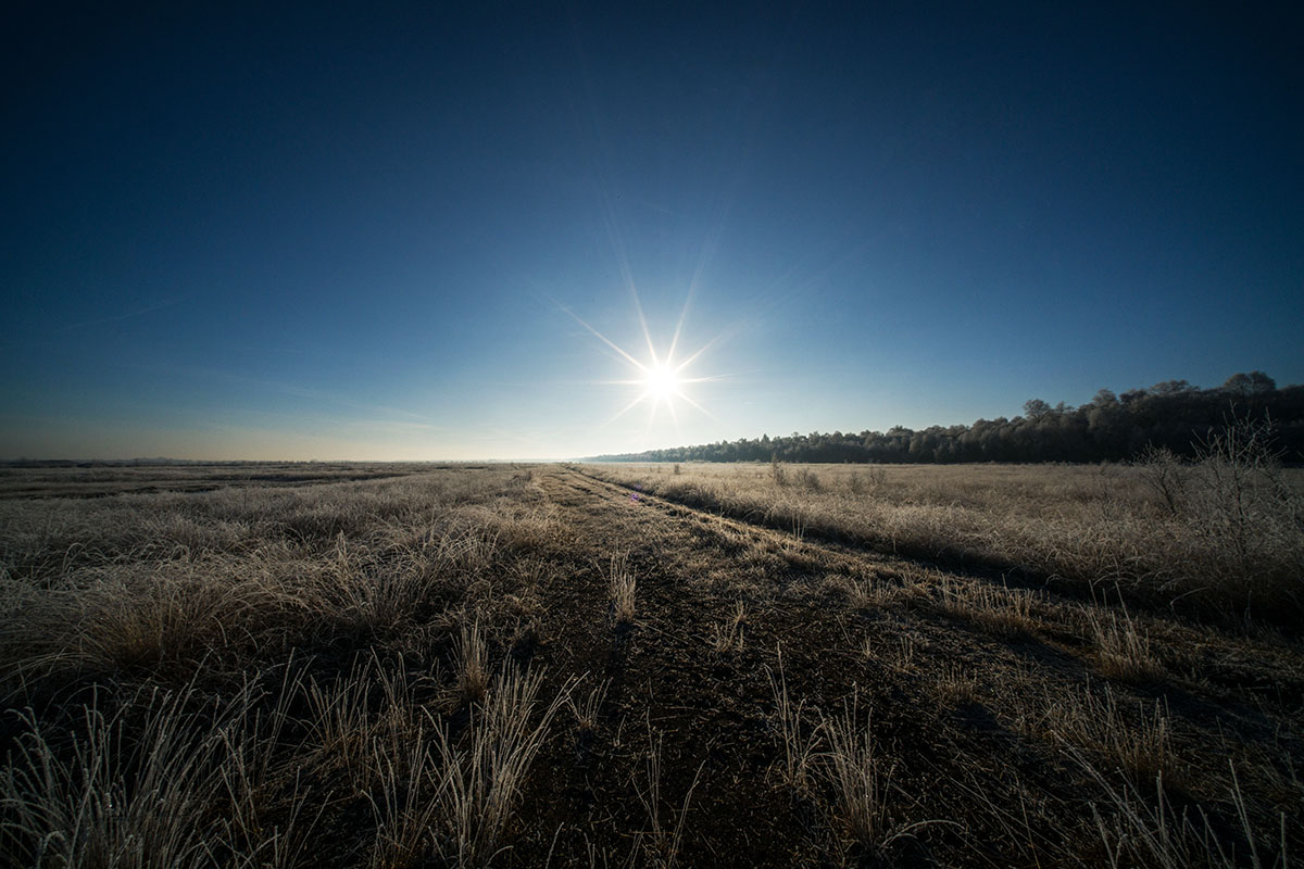 Voigtländer Hyper Wide Heliar 10mm 5.6 ASPH. für Sony E-Mount