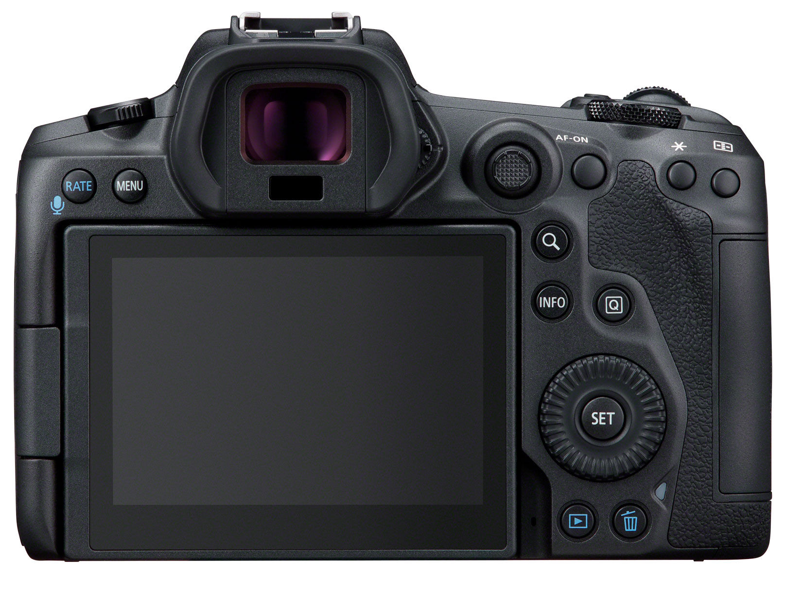Canon EOS R5 + RF 50mm 1.8 STM