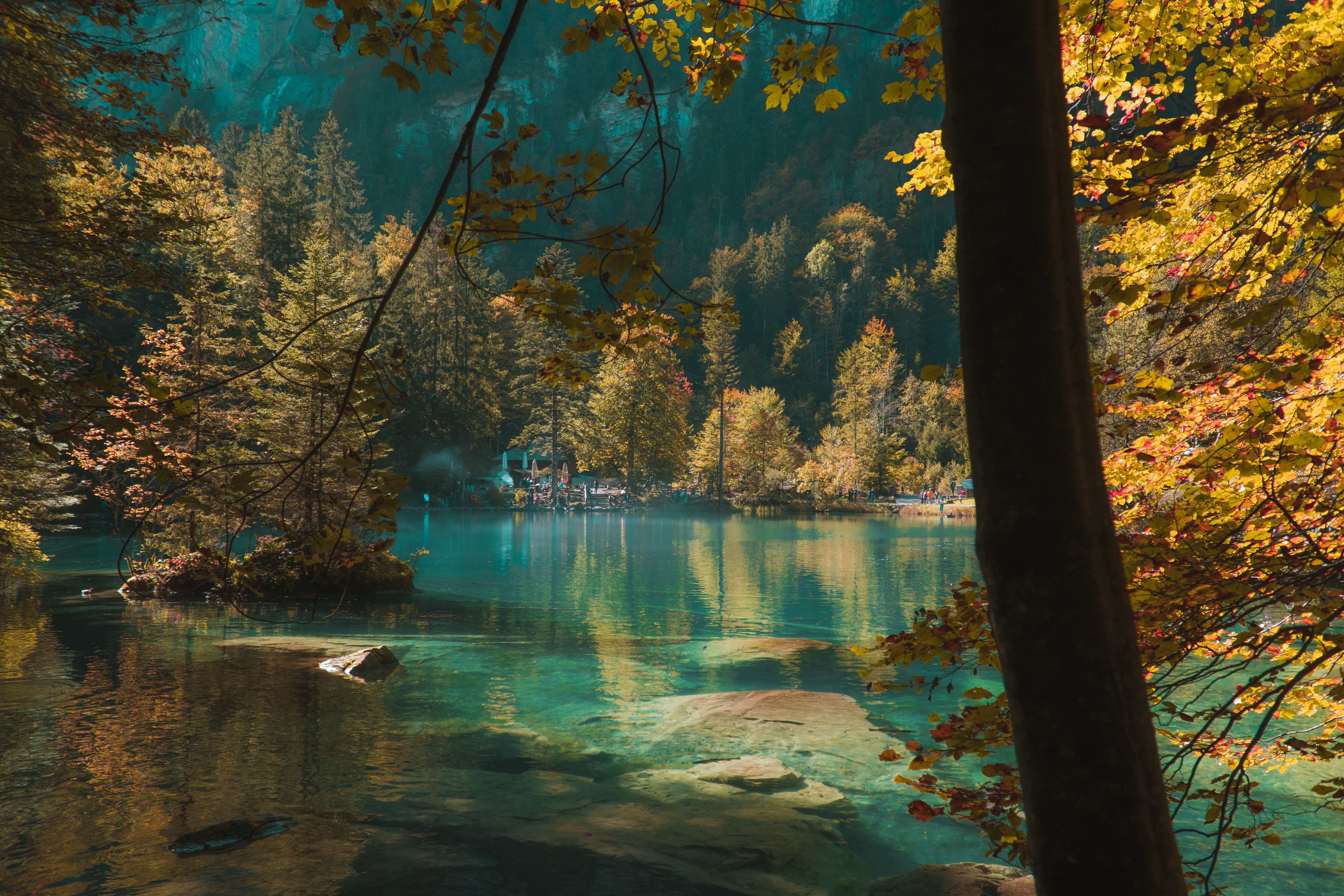 Fotowettbewerb Natur