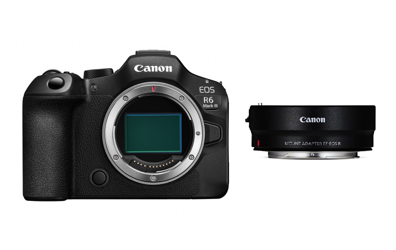 Canon EOS R6 Mark III + EF-EOS R Adapter