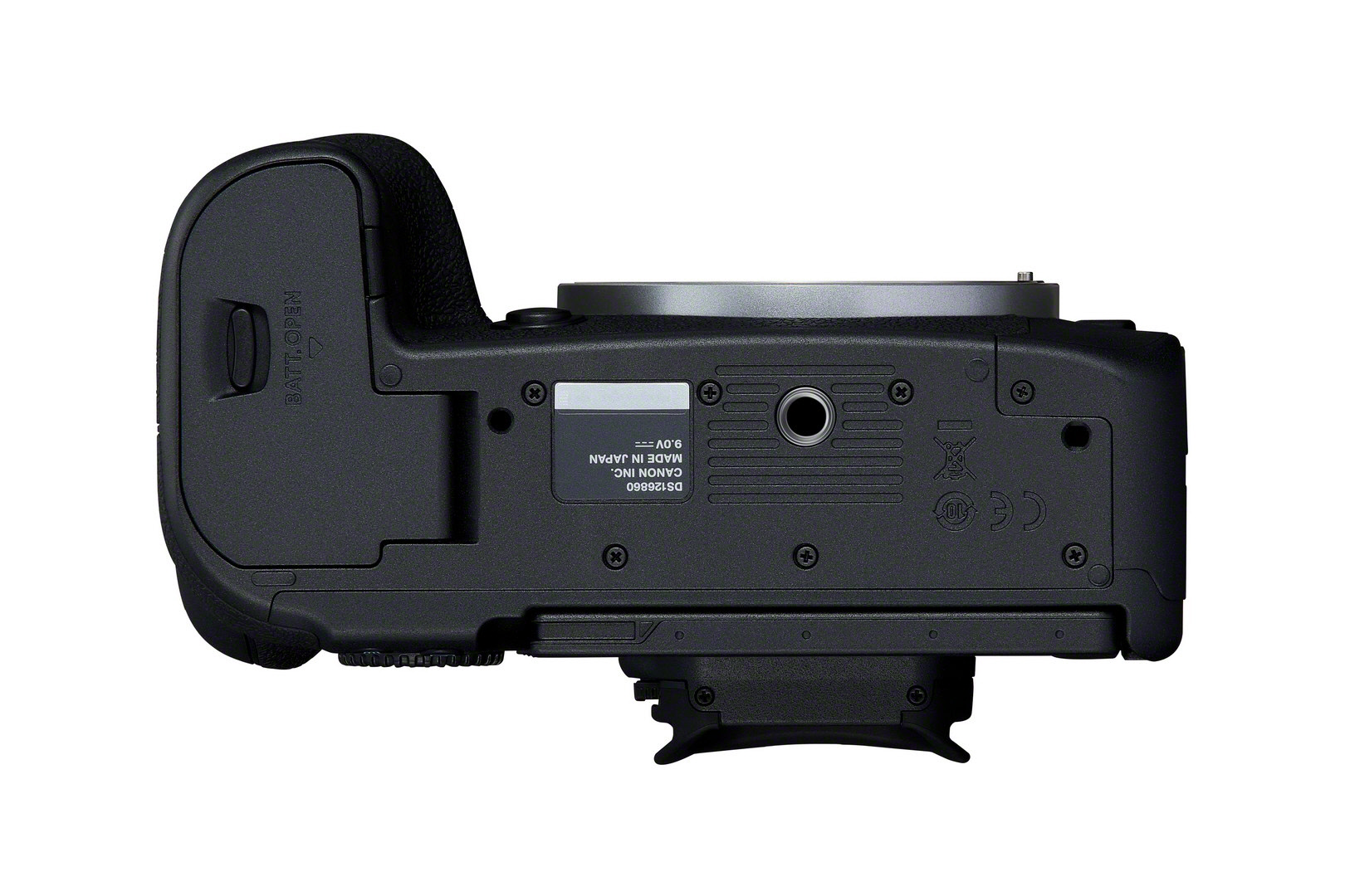 Canon EOS R6 Mark II + EF-EOS R Adapter