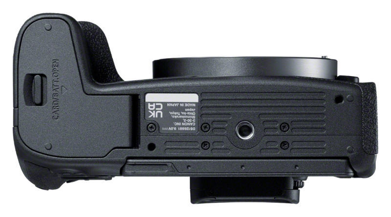 Canon EOS R8 + RF 24-105mm 4.0-7.1 IS STM