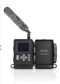 Gerät, Kamera-Gimbal, Camcorder, Handgerät, Anzeige