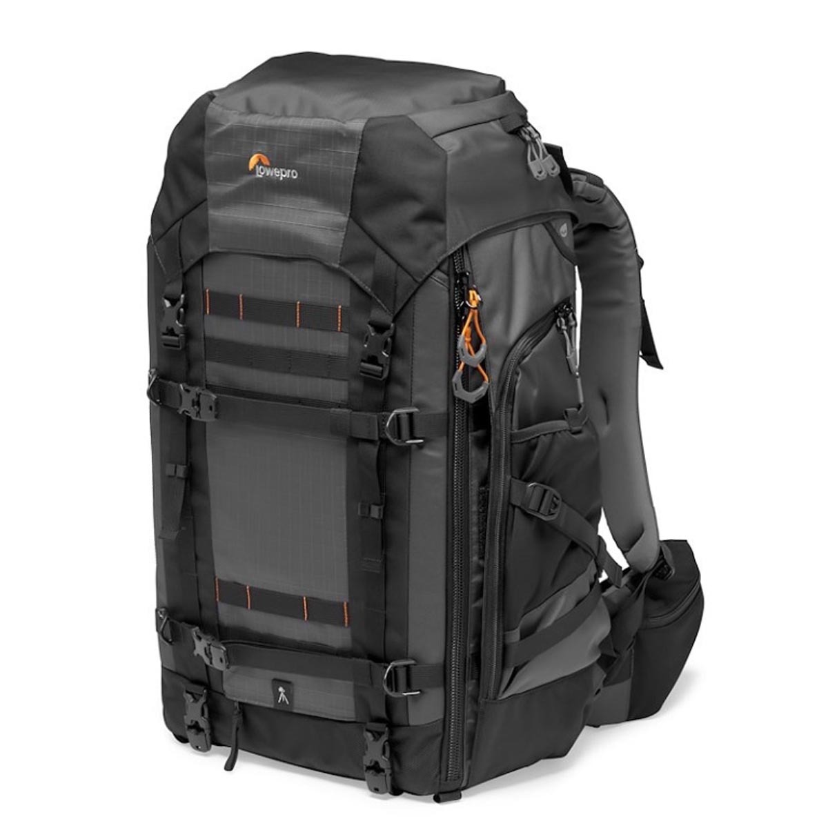 Lowepro ProTrekker BP 550 AW II grey Fotorucksack