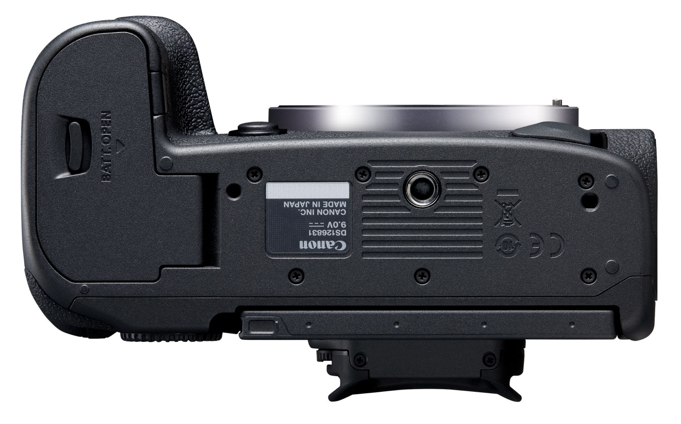 Canon EOS R5 + RF 50mm 1.8 STM