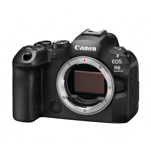 Canon EOS R6 Mark III + EF-EOS R Adapter